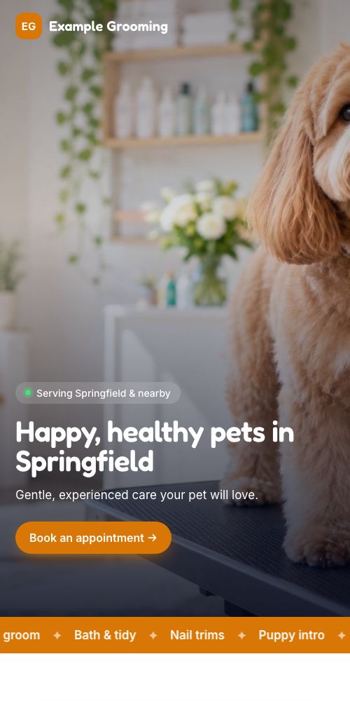 The same site on a phone
